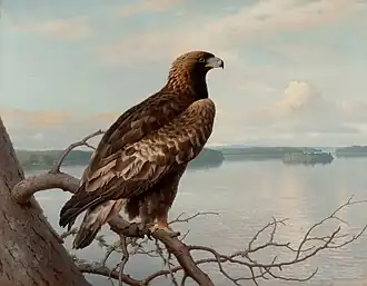 Golden Eagle by a Lake, 1897