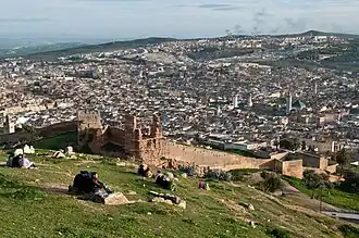 View of the medina (old city) of Fez, Morocco