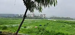 Camurlim Fields from NH17 road