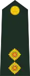 Lieutenant (Fiji Infantry Regiment)