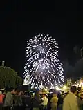 Fireworks over the Parish of San Miguel Arcángel church on 15 Sept 2008