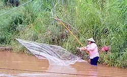 Woman with a square hand lift net in the Mekong River Thailand