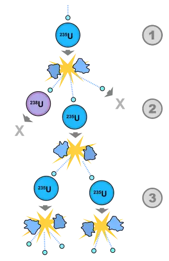 Image 50A schematic nuclear fission chain reaction. 1.&nbsp;A uranium-235 atom absorbs a neutron and fissions into two new atoms (fission fragments), releasing three new neutrons and some binding energy. 2.&nbsp;One of those neutrons is absorbed by an atom of uranium-238 and does not continue the reaction. Another neutron is simply lost and does not collide with anything, also not continuing the reaction. However, the one neutron does collide with an atom of uranium-235, which then fissions and releases two neutrons and some binding energy. 3.&nbsp;Both of those neutrons collide with uranium-235 atoms, each of which fissions and releases between one and three neutrons, which can then continue the reaction. (from Nuclear fission)