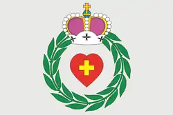 Flag of Borovsky District