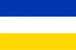 Directorial Flag of Chile