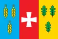 Flag of Dubno Raion