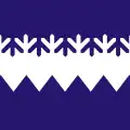 Flag of Kõue Parish