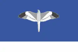 Flag of Mechetlinsky District