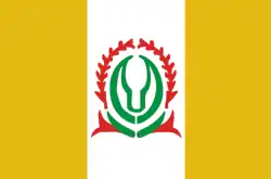 Flag of Namdrik Atoll