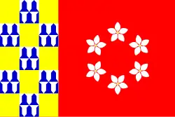 Flag of Nava
