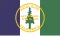 Flag of Palo Alto, California