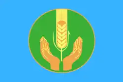 Flag of Pokhvistnevsky District