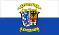 Flag of Traunstein
