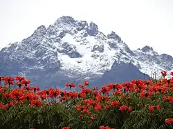 Bolívar Peak