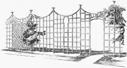 Four styles of trelliswork