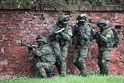 Russian commando frogmen conducting training exercises