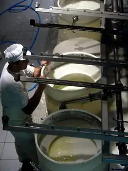 The production of Gruyère cheese at the cheesemaking factory of Gruyères, Canton of Fribourg, Switzerland