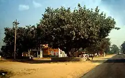 Front view of Phaguwala