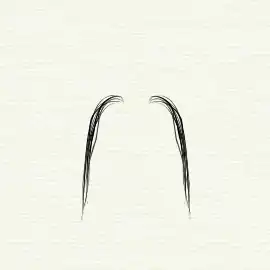 "Fu Manchu" moustache style