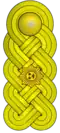 General de brigada (Venezuelan Army)[54]