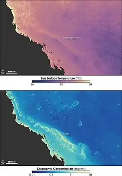Image 44Sea temperature and bleaching of the Great Barrier Reef (from Environmental threats to the Great Barrier Reef)