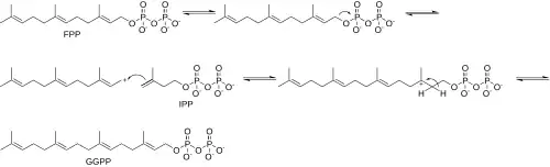 GGPP Synthesis