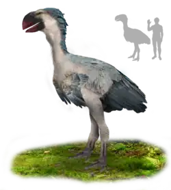 Gastornis gigantea