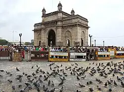 Pigeons on the Gateway grounds