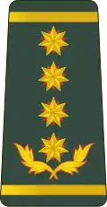 გენერალი Generali (Georgian Land Forces)