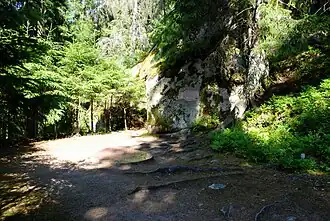 The gravesite of Eliel Saarinen, his wife Loja and Herman Geselius