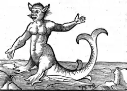 Sea-monster (monstrum marinum), from Gesner's (1558) Historiae animalium