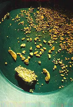 Gold nuggets in a pan also from the Blue Ribbon Mine in Alaska