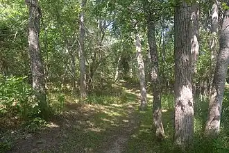 San Antonio River Trail, Goliad State Park & Historic Site