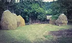 Gornja Trešnjevica 2