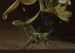 Detail of grasshopper on table in Rachel Ruysch's painting Flowers in a Vase, c. 1685. National Gallery, London