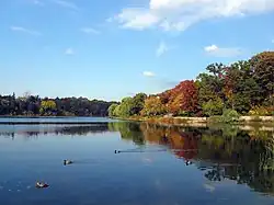 pond with colourful trees on right side bank