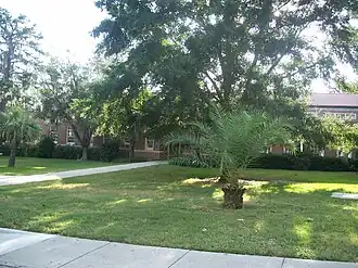 Picture of building behind palm trees
