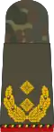 Generalmajor (retired)