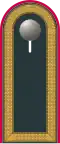 a. Dark grey shoulder strap - Heer (here: Stabsunteroffizier armored corps)