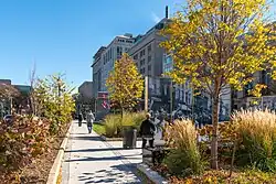 Gore Park looking east towards the cenotaph