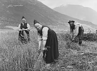 Harvest in Jølster, Norway, c. 1890