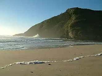 The Tasman Sea at the Heaphy River mouth