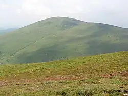 Hedgehope Hill from Scald Hill