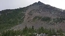 Mountain goats seen on the bare, rocky slope of the volcano, to the right of a forested area