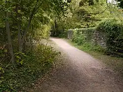 With a tree in the foreground and ivy growing on the east parapet wall to the right, the view across the bridge is quite idyllic.
