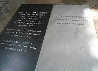 Tombs of John Herschel, left black marble, and Charles Darwin. white marble in Westminster Abbey
