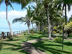 tropical garden with palms by the sea
