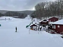 The Homestead ski slopes, located on the side of Warm Springs Mountain