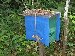 A teal coloured wooden box with blue coloured plastic cover.