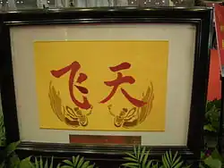 The "Fei Tian" text and goddess image on the arm badge of Feitian space suit.